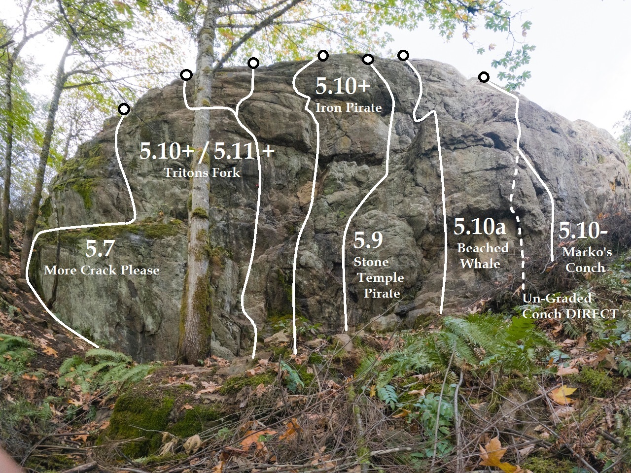 Main Wall Left - Courtesy of Allen Agopsowicz Photographer (Vancouver Island South Climbers' Guide)